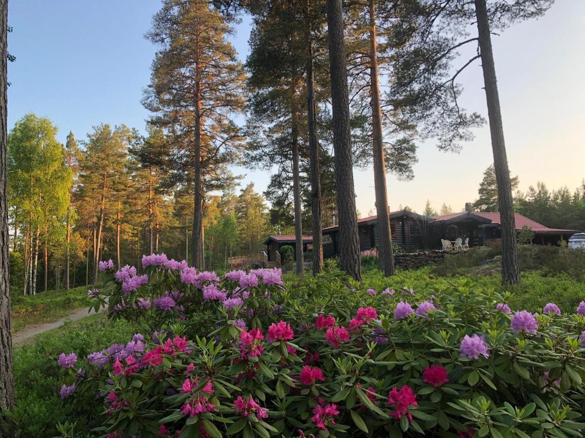 Timber Cottages With Jacuzzi And Sauna Near Lake Vaenern كارلستاد المظهر الخارجي الصورة